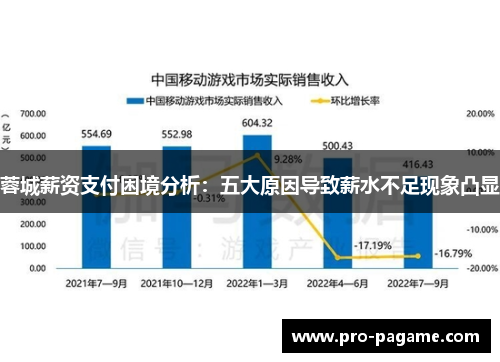 蓉城薪资支付困境分析：五大原因导致薪水不足现象凸显