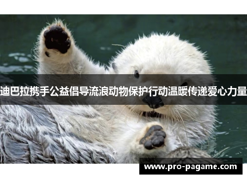 迪巴拉携手公益倡导流浪动物保护行动温暖传递爱心力量