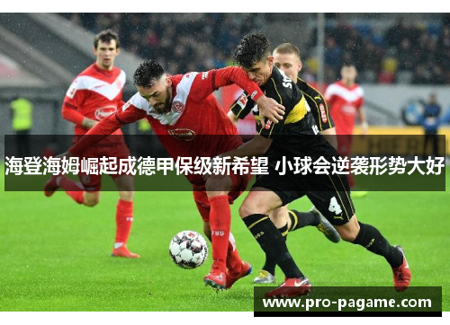 海登海姆崛起成德甲保级新希望 小球会逆袭形势大好