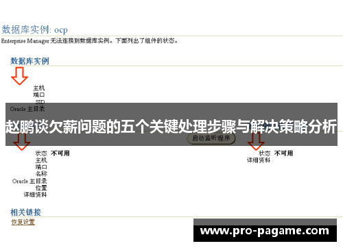 赵鹏谈欠薪问题的五个关键处理步骤与解决策略分析 赵鹏谈欠薪问题的五个关键处理步骤与解决策略分析